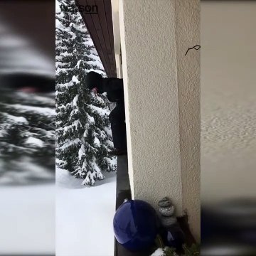 Une femme saute dans la neige depuis le balcon d’un appartement