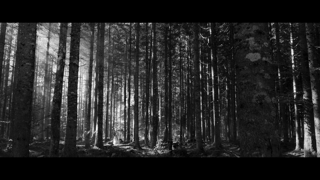 Lacrimosa