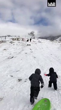 Un père sauve ses enfants grâce à d'excellents réflexes