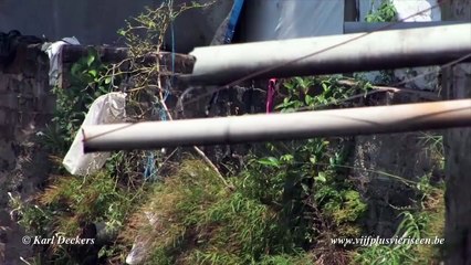 10 Most Dangerous Waters in the World