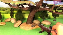 10 TERRIFYING REPTILE ANIMALS INCREDIBLE FACTS for kids - 3D PUZZLE SURPRISE TOYS - Snake Turtle