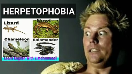 How to improve Vocabulary