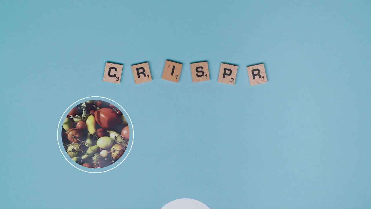 Crispr Gene Editing Explained