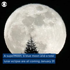 Supermoon, blue moon and lunar eclipse come on January 31