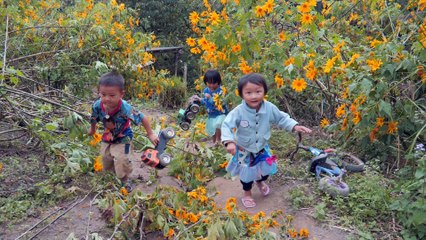 Voyage autour du monde - THAÏLANDE - ÉPISODE N°5