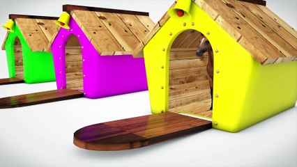 Colors Fruits Learn Color Horse Animals W Cartoon House Nursery Rhymes for Children