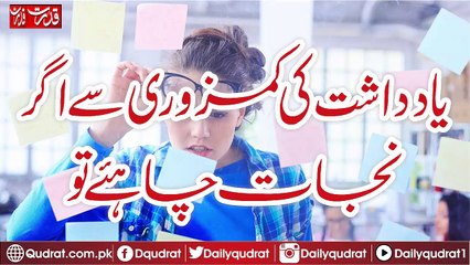 diet-and-precautions-for-memory-problems