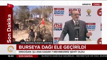 Burseya Dağı'nda Türk bayrağı dalgalanıyor