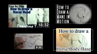 How to draw a Horse Head Front View
