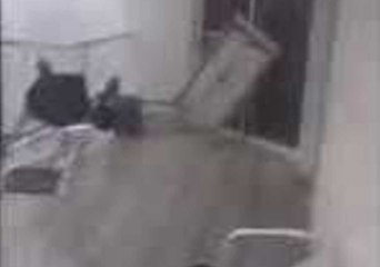 Darwin Man Freaks Out as Wild Storm Hits Balcony