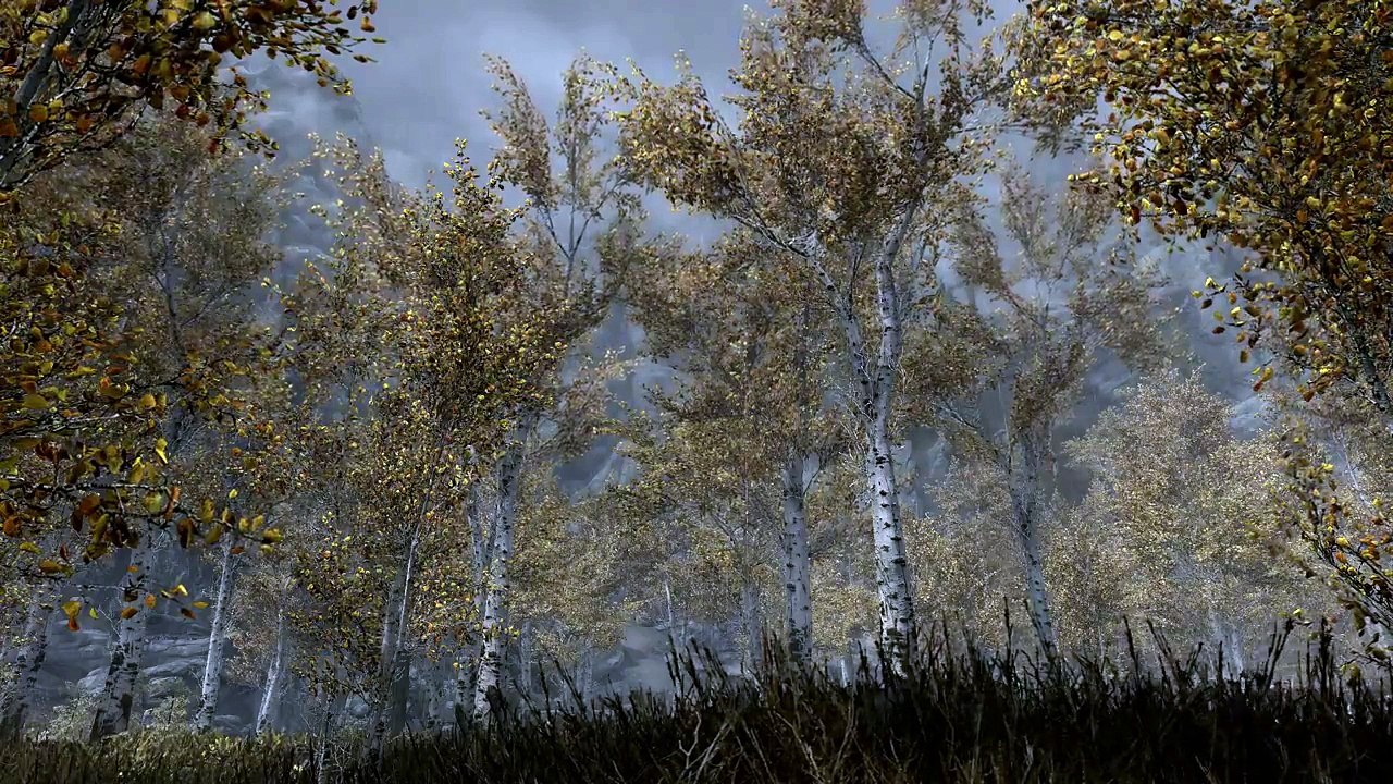 Nature Therapy - Rain in the forest