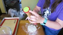 DIY POKEBALL DOG TREATS | Snow Dogs Snacks 59 | DIY Dog Treats