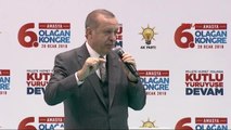 Amasya- Erdoğan Öso ile Mehmetim Beraber Yürüyorlar -4