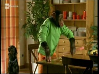 Il nostro amico Charly 15x02 - Charly investigatore