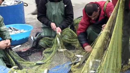 Karadenizli balıkçıların kefal sevinci - ZONGULDAK