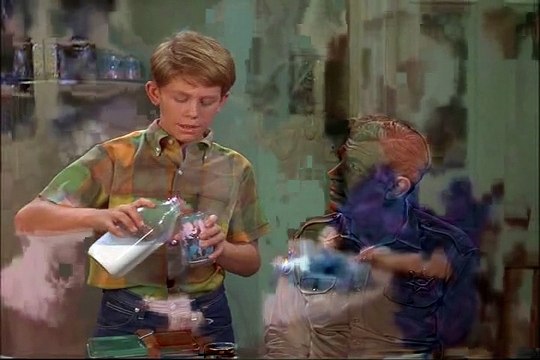 The Andy Griffith Show S08E11-Andys Investment