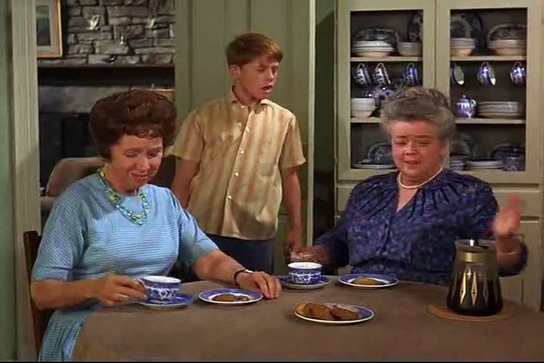 Andy Griffith Theme Song Remix