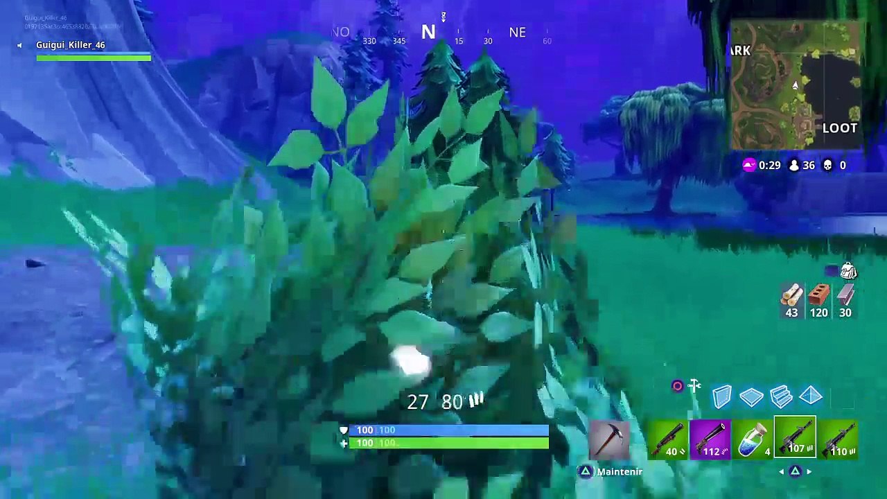 Fortnite ! (10)