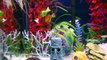 HEXBUG AQUABOTS Jellyfish SHARK Attack at SpongeBob Fish Tank Toypals.tv