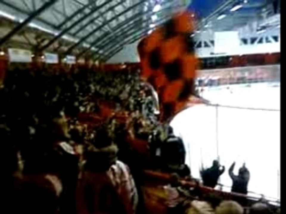 Les Gargoyles : Amiens