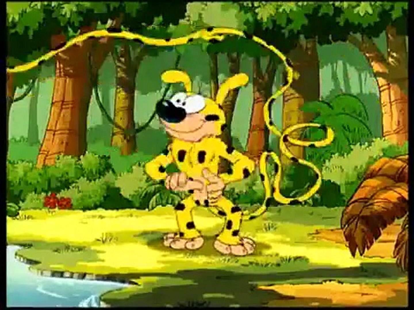 Marsupilami Uzun Kuyruk - Marsupilami Safaride (Çizgi Filmler) -  Dailymotion Video