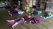 Doga: Animal Lovers Come Together for Yoga with Their Dogs for a Good Cause