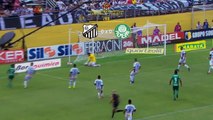 Bragantino 0 x 2 Palmeiras Melhores Momentos e Gols - Paulist2018