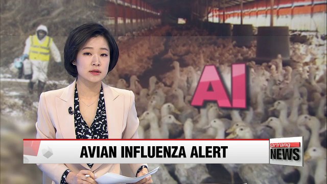 Pyeongtaek battles with outbreak of highly pathogenic avian influenza