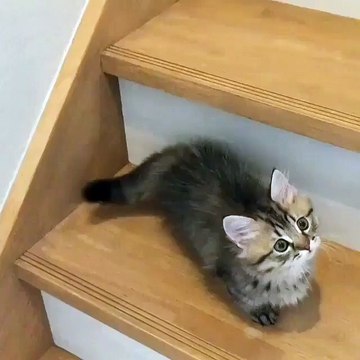 Phòng khám đa khoa Đại Đông - phòng khám nam khoa quận 2