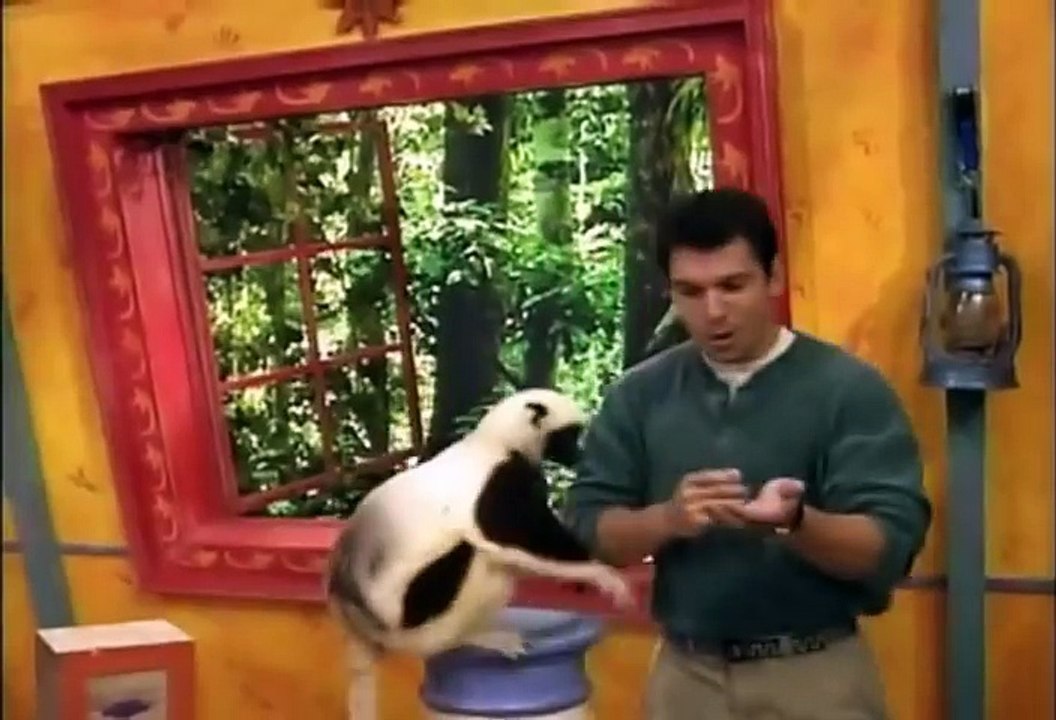 Zoboomafoo Cap. 52: "Amigos"