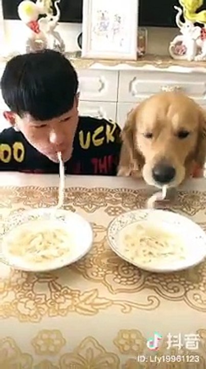 Sen có cố mấy cũng thua boss thôi