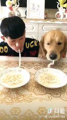 Sen có cố mấy cũng thua boss thôi