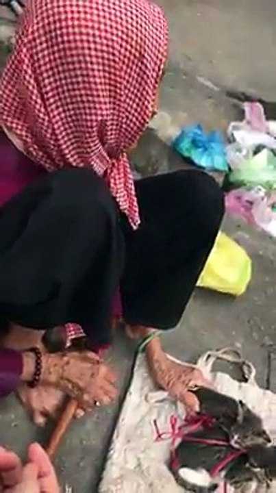 TP.HCM: Xót xa hoàn cảnh của bà cụ 90 tuổi phải đem cho những chú mèo vì không nuôi nổi