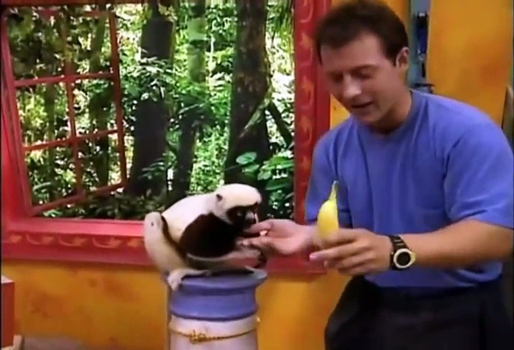 Zoboomafoo Cap. 45: "Humanos"
