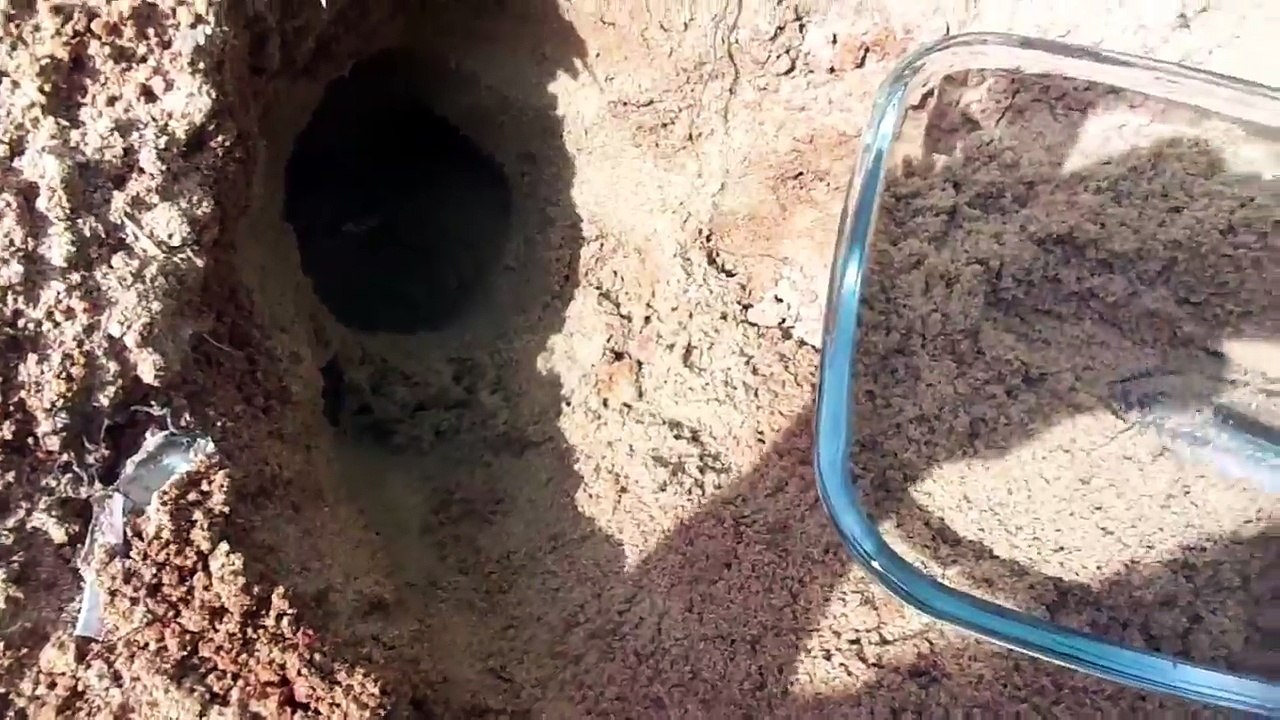 Hướng dẫn cách lọc cát để làm cát động lực Kinetic Sand