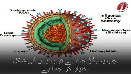 Prevention Strategies for Seasonal Influenza