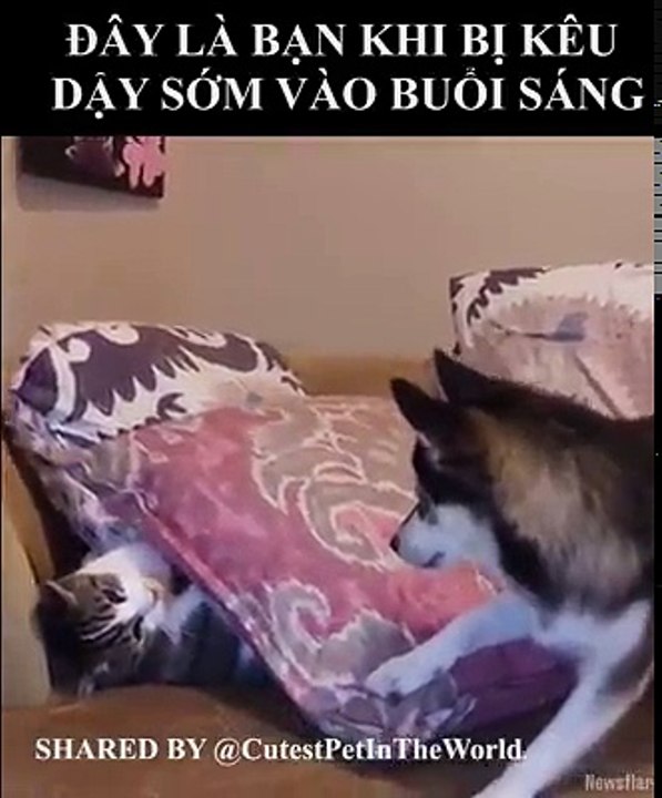 !!! Thấy đúng thì share cái cho dzui :3