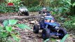 Axial SCX10 Dingo Jeep Wrangler Wraith at Durian Loop RC 4x4 Scale Truck Trails