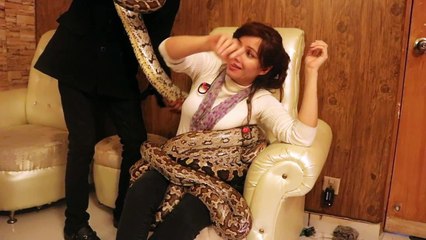 Rabi's Exciting Adventure with Pythons 🐍