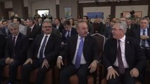 Çavuşoğlu: 