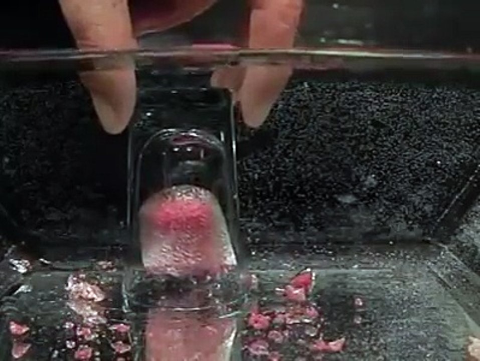 #DidYouKnow #ScienceFacts Did you know... - Poornima College of Engineering.