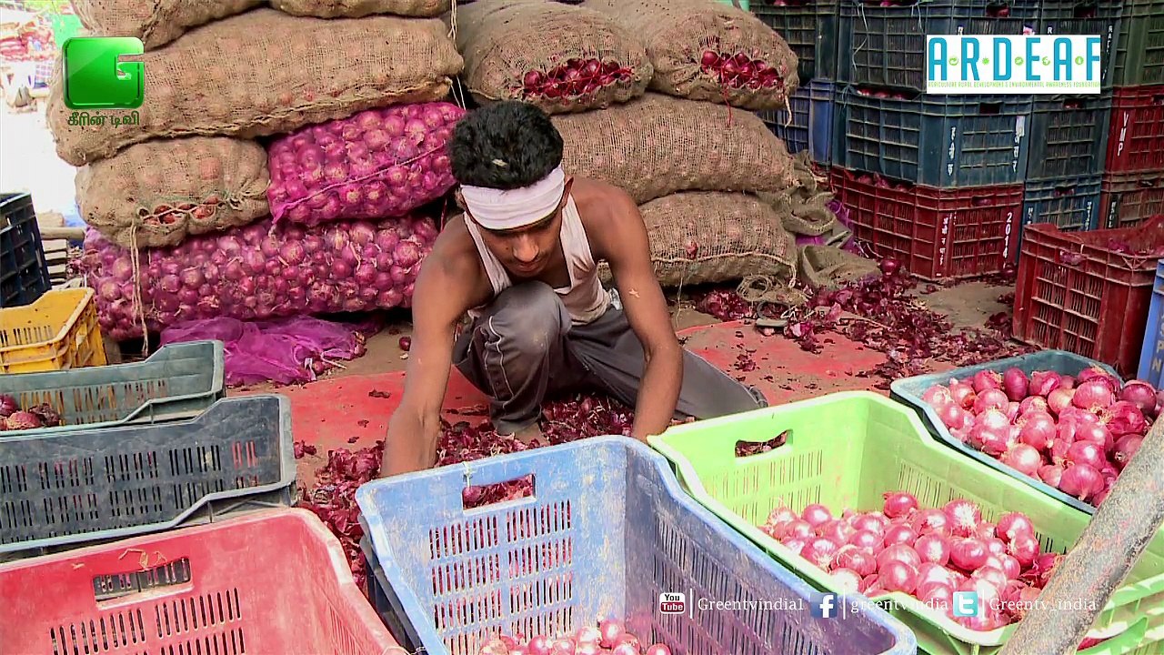Onion Farming - Chapter 2