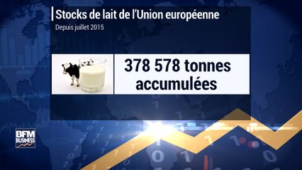 Des centaines de milliers de sacs de lait écrémé en poudre s’entassent dans des hangars