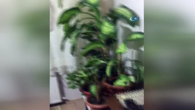 Sahte para çetesi polis takibiyle çökertildi