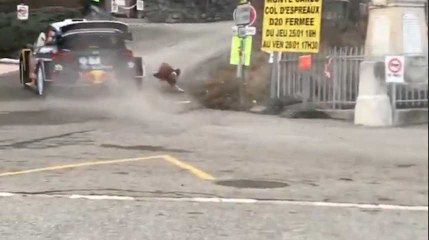 Ce toutou a eu chaud sur le passage du Rallye Monte-Carlo