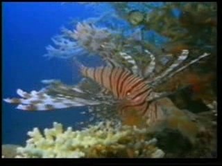 les yeux des coeurs 06 عيون القلوب 06