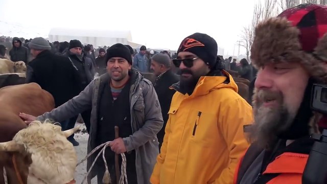 KARS HAYVAN PAZARI TİMUR AKKURT VE EKİN KOLLAMA