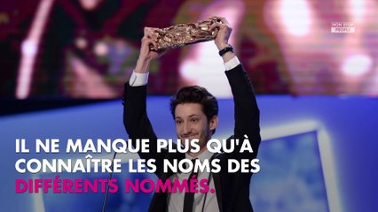 César 2018 : Penélope Cruz va recevoir un César d'honneur
