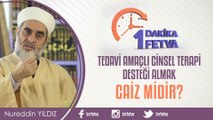 Tedavi amaçlı cinsel terapi desteği almak caiz midir? - Nureddin Yıldız