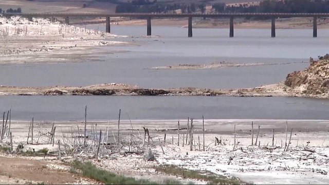 Cape Town residents blame government for record water crisis